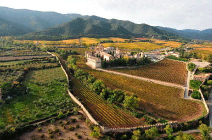 #5: Wijn van grote hoogte